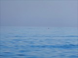 Охотское Море 325